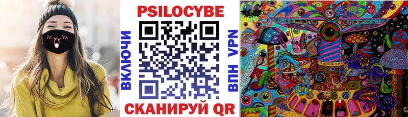 Купить где  Сунжа  Псилоцибиновые грибы мицелий 
